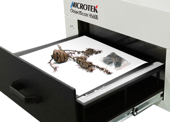 1572502546297608.jpg 04.jpg